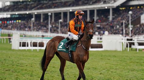grand national aintree results|Grand National 2022: Noble Yeats wins the big race at Aintree – .